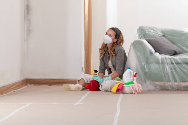 Reliable Black Mold Removal contractor in Lake Oswego, OR by WQB Mold Removal